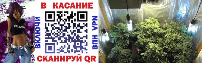 Сколько стоит Моздок АМФЕТАМИН  ГАШ  KRAKEN ТОР  СК 