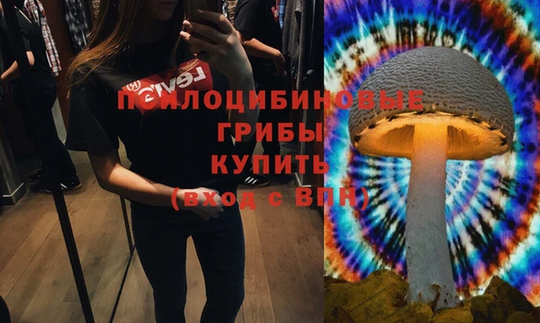 эйфоретик Белокуриха