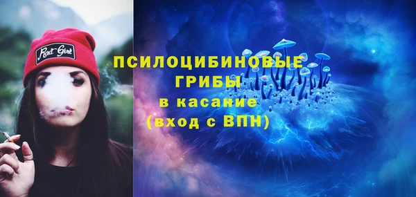 соль ск Сафоново