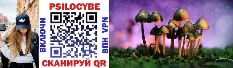 Псилоцибиновые грибы MAGIC MUSHROOMS  Моздок 