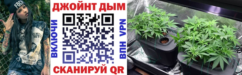 Конопля SATIVA & INDICA Моздок